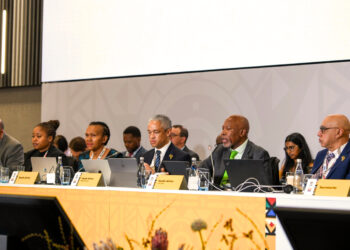 FIRST FINANCE AND CENTRAL BANK DEPUTIES MEETING HELD IN JOHANNESBURG