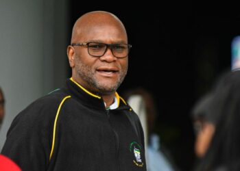 South African Ambassador to France, Nathi Mthethwa, Dies After Fall at Paris Hyatt Hotel