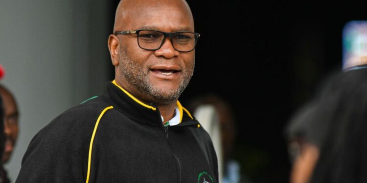 South African Ambassador to France, Nathi Mthethwa, Dies After Fall at Paris Hyatt Hotel