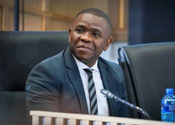 Madlanga Commission Bombshell: KZN Police Commissioner Exposes Mishandling of Political Killings Dockets