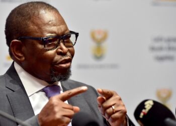 “Africa Must Heal Itself”: Godongwana Urges Bold Shift from Aid to Investment at AU Finance Summit