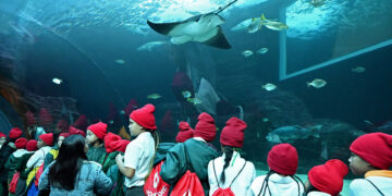 Vodacom Launches Eco-Warriors Competition to Empower South Africa’s Green Generation