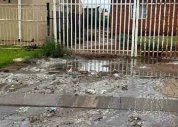 DA Takes Emfuleni Sewage Crisis to Human Rights Commission as Raw Waste Floods Boipatong Homes