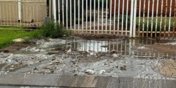 DA Takes Emfuleni Sewage Crisis to Human Rights Commission as Raw Waste Floods Boipatong Homes